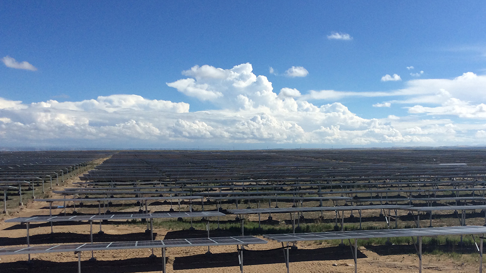 利来w66_利国娱乐国际老牌w66- welcome